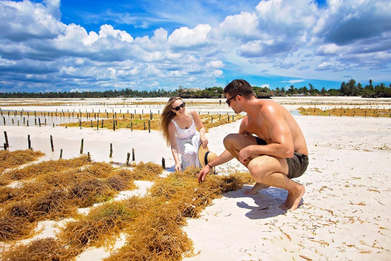 The Island - Pongwe Lodge (Adults Only) מראה חיצוני תמונה